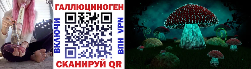 Купить  Жирновск  Псилоцибиновые грибы мицелий 